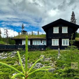 Large log cabin at Sjusjøen with sauna, fireplace and panoramic view