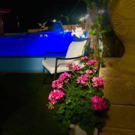 Green Park Hotel & Residence