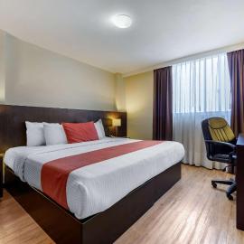 Comfort Inn San Luis Potosi，位于圣路易斯波托西的酒店