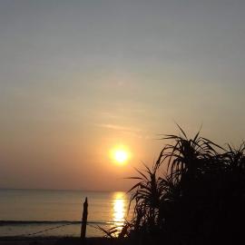Black Forest Beach Resort，位于尼拉瓦利的酒店
