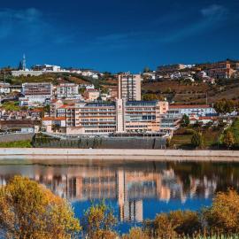 Hotel Regua Douro，位于比索达雷加的酒店