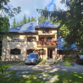 Cabana Cetatile Ponorului - Padis Premium Lodge，位于帕迪斯的酒店