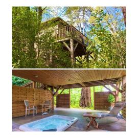 Cabane avec Jacuzzi privatif du Manoir du Parc - Adults only，位于阿姆博斯的酒店