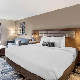 Best Western Plus Bourbonnais Hotel & Suites，位于Bourbonnais的酒店