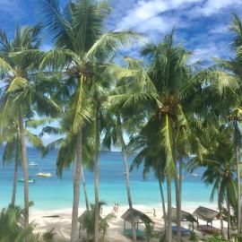 BaraCoco Bungalows，位于比拉的酒店