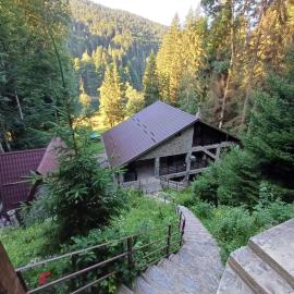 Cabana Zimbru Transfagarasan，位于阿雷富的酒店