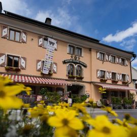 Hotel Steffner-Wallner，位于毛特恩多夫的酒店