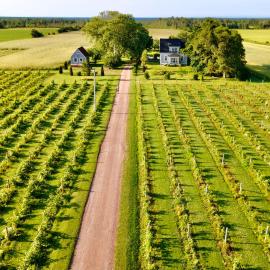 Sunbury Cove Winery，位于Miscouche的酒店