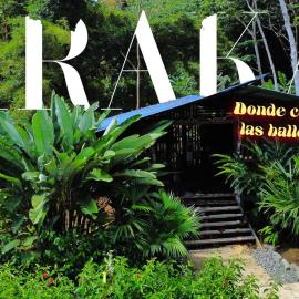 Ecohotel Iraka Cabañas Privadas en Selva y Playa，位于巴亚索拉诺的酒店