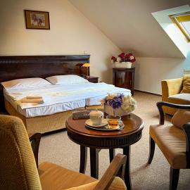 Hotel U Zeleneho stromu，位于Nepomuk的酒店
