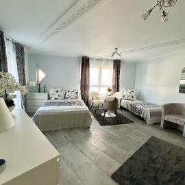 Ferienwohnung als Wohlfühlort in Sigmaringen，位于锡格马林根的酒店
