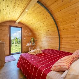 Dormire in una botte - Antiche Vigne Pironti，位于Marzi的酒店