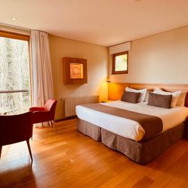 Design Suites Bariloche,位于圣卡洛斯-德巴里洛切的酒店