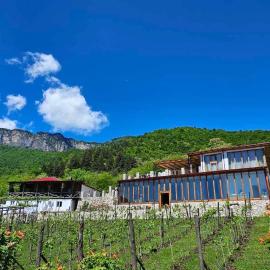 Korenishuli Veranda Wine Hotel 45 km from Tsageri，位于Tsʼageri的酒店