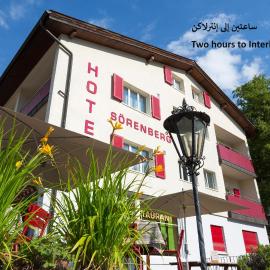Hotel Sörenberg，位于瑟伦贝格的酒店