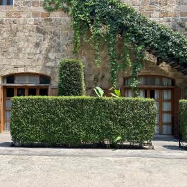 Old Town Guesthouses-Batroun，位于拜特龙的酒店