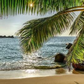 Baga Beach Palms，位于巴加的酒店