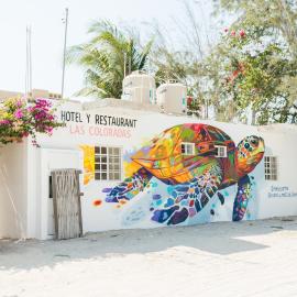 Tortuga LAS COLORADAS，位于Yuluc的酒店