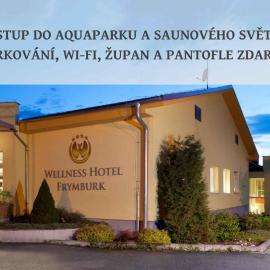 Wellness Hotel Frymburk，位于弗林布尔克的酒店