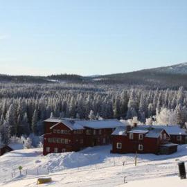 Renfjällsgården，位于Edsåsdalen的酒店