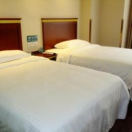 GreenTree Inn Anhui Hefei Economic Development Zone Penglai Road Express Hotel，位于合肥的酒店