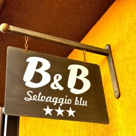 B&B Selvaggio Blu，位于包内伊的酒店