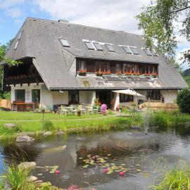 Hostel Waldblick，位于弗莱堡的酒店