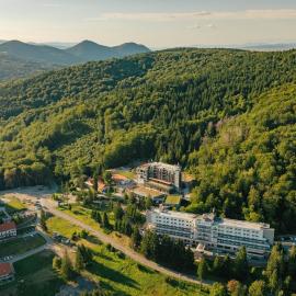 Balvanyos Resort - Peakture Hotel & Grand Hotel Balvanyos，位于巴尔瓦尼亚的酒店