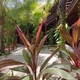 Secret paradise mahahual，位于玛哈威的酒店