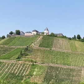 Burgblick Pünderich