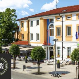 Lipa, Hotel & Bistro，位于新戈里察的酒店