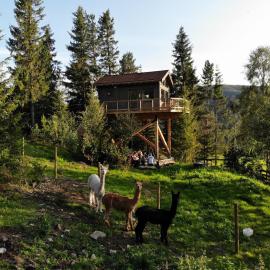 Fjellgla tretopphytte，位于Holo的酒店