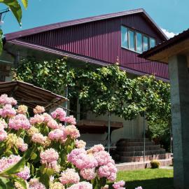 Guest House Melissa，位于Duisi的酒店