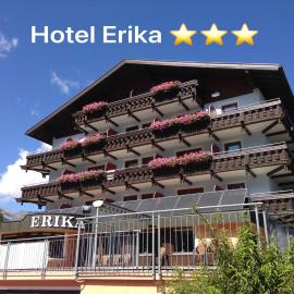 Hotel Erika，位于皮茨河谷阿兹尔的酒店