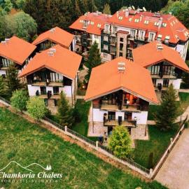Chamkoria Chalets，位于波罗维茨的酒店