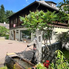 Casa Ema Austria，位于Ramingstein的酒店
