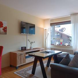 Alpenglühen - Hallenbad & Sauna，位于上迈塞尔施泰因的酒店