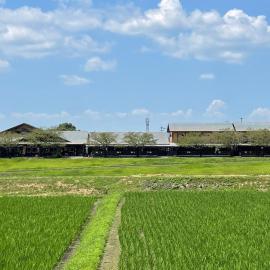 源泉かけ流しの宿 きなっせ，位于山鹿的酒店