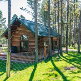 Pine Cabin