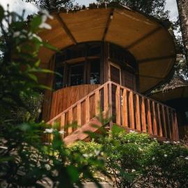 Eco Conservation Landak Luxury Tents，位于武吉拉旺的酒店