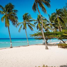 Coconut Court Beach Hotel，位于布里奇敦的酒店