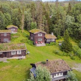 Frøy&Frøya Hyttetun，位于Skammestein的酒店