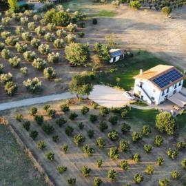 Agriturismo Casale Lisalola，位于苏特里的酒店