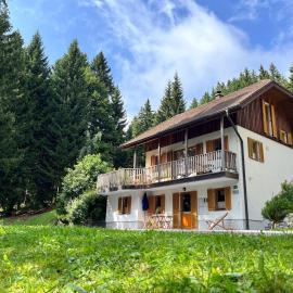Chalet Harmony Rogla - apartment，位于兹雷切的酒店