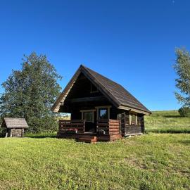 Lakeside cabin with saunas, hot-tub options，位于Antsla的酒店