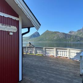 Cozy house by the sea，位于Tofta的酒店
