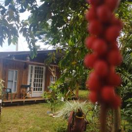 Hostal La Cabaña，位于Mesetas的酒店