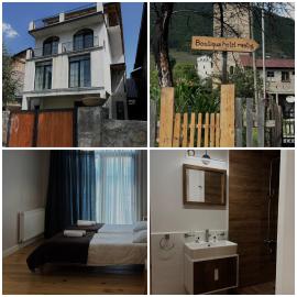 Boutique hotel mestia，位于梅斯蒂亚的酒店