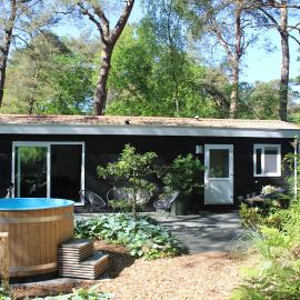 Mooi 4p Wellness chalet in het Bos met finse Sauna en Hottub，位于迪弗尔的酒店