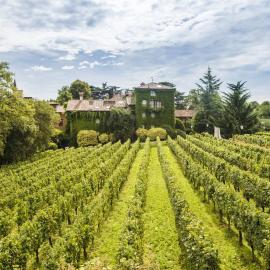 L'Albereta Relais & Chateaux，位于埃尔布斯科的酒店